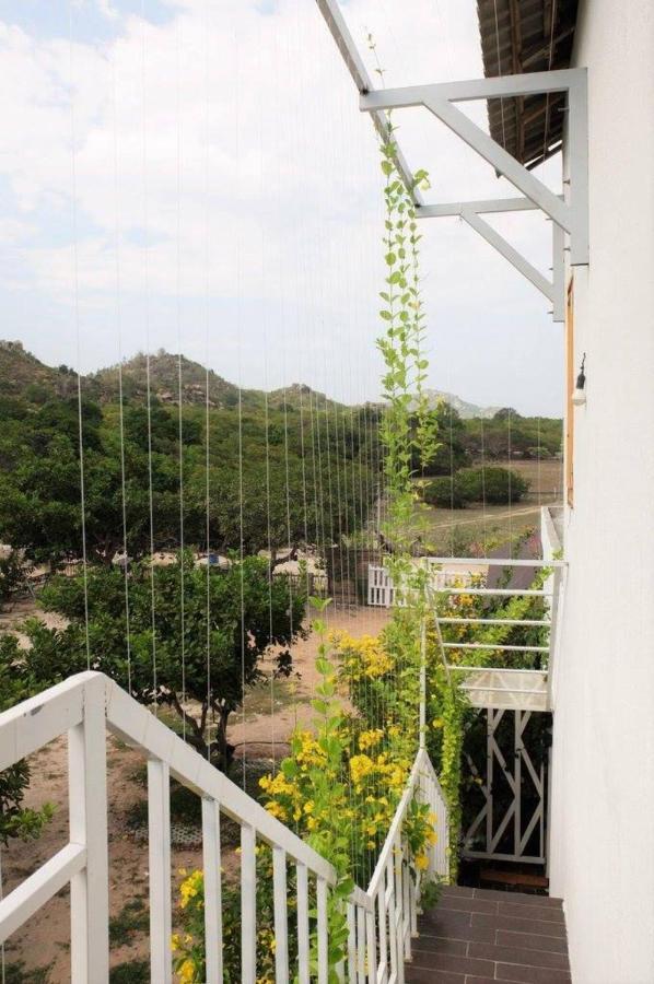 Villa Dao Hoa Vang Cam Ranh - Venuestay 外观 照片